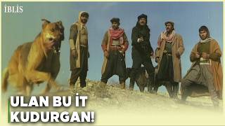 İblis Türk Filmi | Zühtü Adamlarını Kuduz Köpeğin Peşine Takıyor