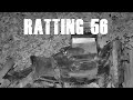 Ratting 56