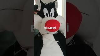 Bilmemi