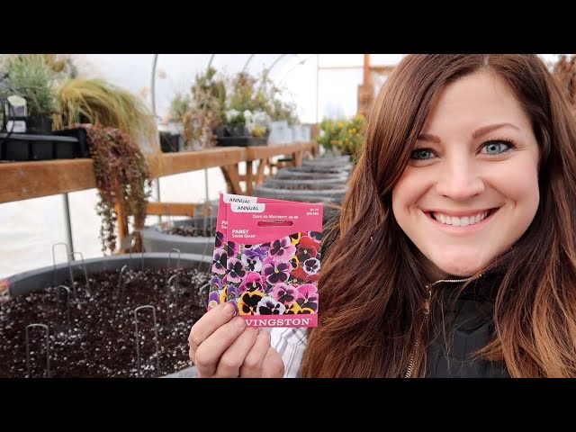 Planting Pansy Seeds! 🌿// Garden Answer class=