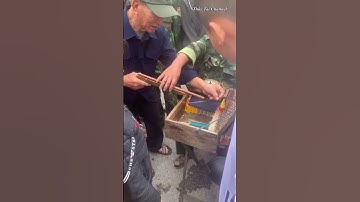 Giải mã trò chơi bắn cá ngựa của ông Bác  #thaytaichannel #funny #trochoi