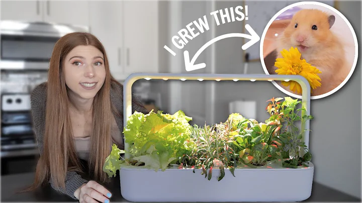 I Grew my PETS their own Garden