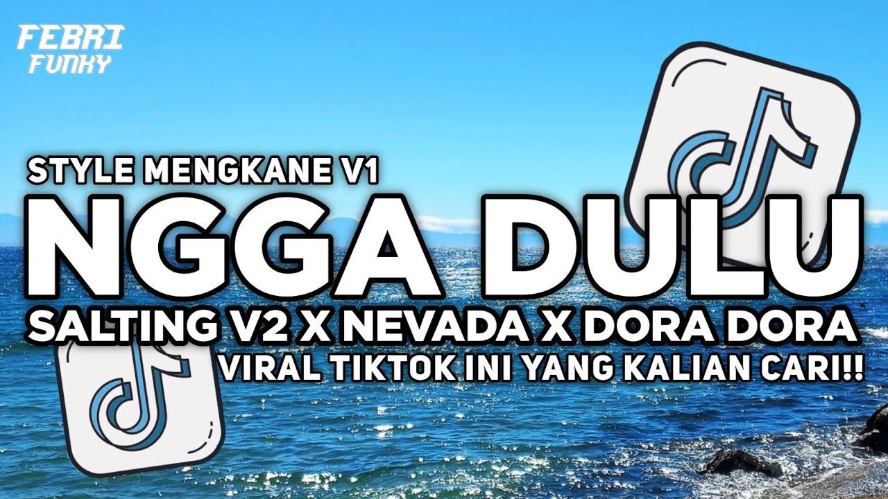DJ NGGAK DULU X SALTING V2 X NEVADA X DORA DORA STYLE MENGKANE V1 | FEBRI FVNKY  