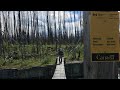The South Boundary Trail - Jasper National Park (4K)