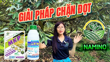 BỘ GIẢI GIẢI PHÁP: CHẶN ĐỌT TỨC THỜI – SẠCH BỆNH – AN TOÀN công ty NAMINO Việt Nam