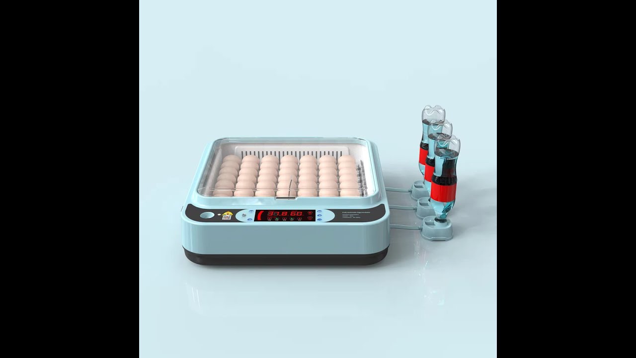 Kuluçka Makinesi Kaz Yumurtası Uyumlu olarak çevirme sistemi merdaneli çevirme ile çok yüksek çıkımı