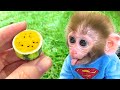 Monkey Baby Bon Bon drives a car to return rabbit to the farm and eats yellow watermelon with puppy