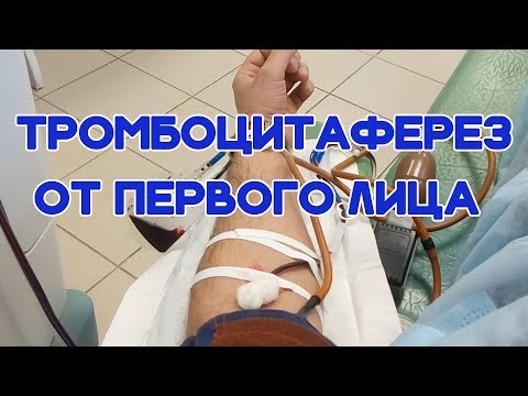 Тромбоцитаферез от первого лица