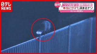 【深まる謎】防犯カメラがとらえたのは…体長１メートルの熊？（2021年7月23日放送「news every.」より）
