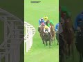 🔥 Rebel's Romance Proves His Class Again! | Stunning Victory 🏇#horse Highlights #GlobalTurfReview