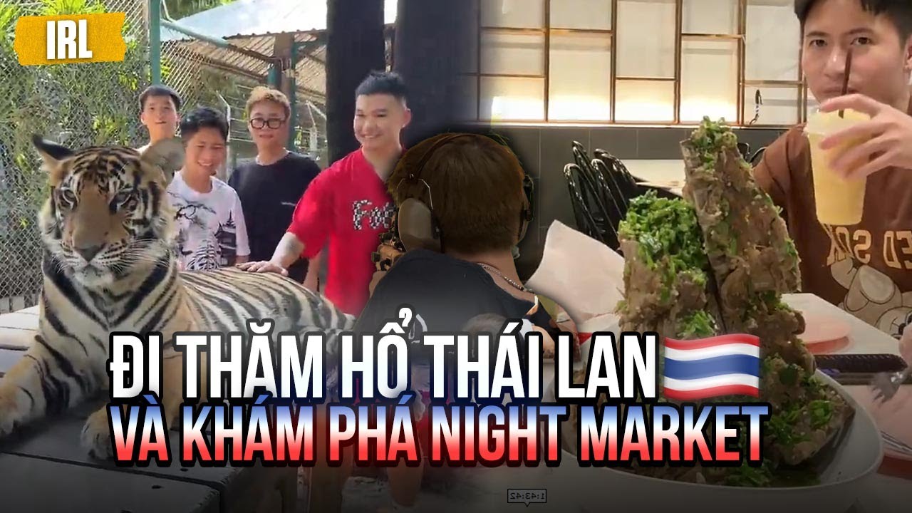 ( IRL ) ĐI THĂM HỔ SIÊU TO Ở TIGER PARK VÀ PHÁ ĐẢO NIGHT MARKET CÙNG BỘ TỨ SIÊU QUẬY Ở THÁI LAN