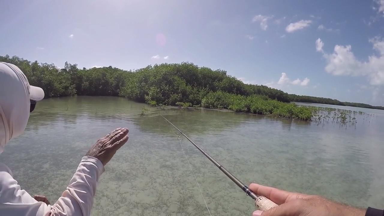 This Place is a Fishing Paradise | Belize Day 2