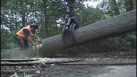 material handling pick up logs with prentice loader