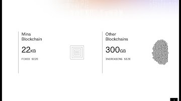 Mina’s Adversarial Testnet Vlog #Mina Community