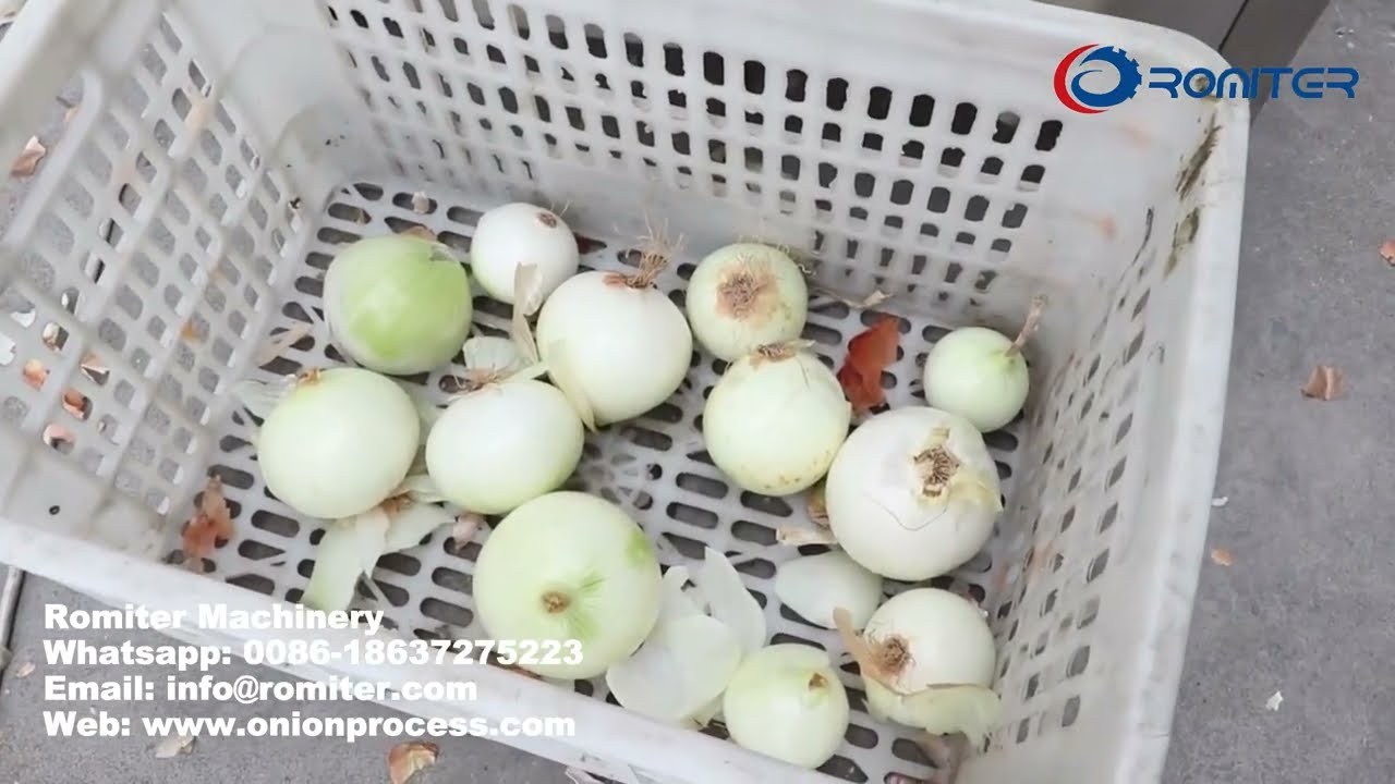 Automatic Onion Root Cutting Machine for Removing Top and Ends