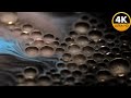 Liquid Colors in Motion filmed on a Macro Camera in 4K | LG OLED TEST FOOTAGE