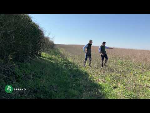 Four Seasons - Good grey partridge habitat