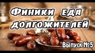 Финики - польза и вред, энергетическая ценность, химический состав, совместимость с продуктами