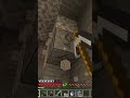 #minecraft #minecraftshorts #thenewworld #farming #gaming #games #just4fun
