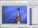Photoshop Elements Animating Tutorial