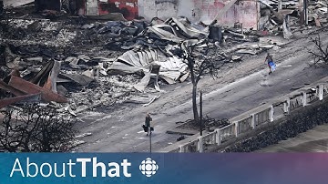 Why were the Maui wildfires so deadly? | About That