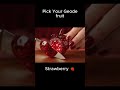 AI Geode Glass Fruit Cutting ✨ | Hyper Realistic Crystal Core ASMR  #relaxing #asmrsounds #slicing