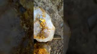 استخراج كمية من الذهب من اكبر عروق للذهب في السودان
