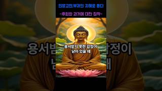 인생고민 부처님의 지혜로 듣다-후회와 과거에 대한 집착편- 용서받지 못한 감정이 남아 있을때  #부처님말씀 #명언 #자기수행 #부처님가르침 #격언  #인생조언 #긍정적마인드
