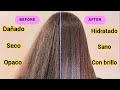 Tratamiento naturl para cabello seco y daado resultados rpidos 