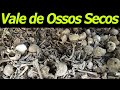 Vale de Ossos Secos   Estudo Bíblico sobre Ezequiel 37 Vale de Ossos Secos