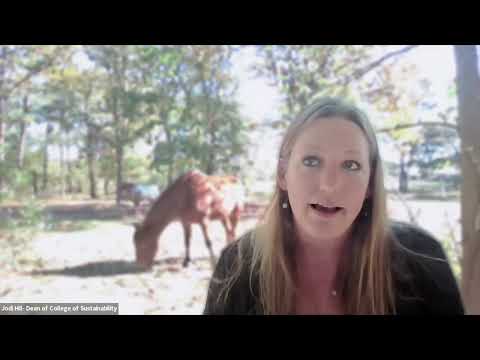 What is Regenerative Organic Agriculture?