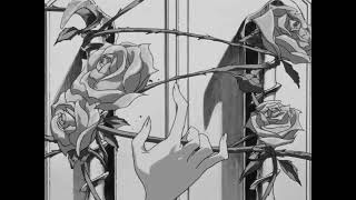 NOTD, Kiiara - What's With The Roses ~ slowed + reverb
