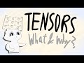 Why are tensors EVERYWHERE? | Tensors for beginners #SoME