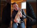 Today in the cat house  I’m showing you the  Bengal cat which we got recently. #bengalcat #cat