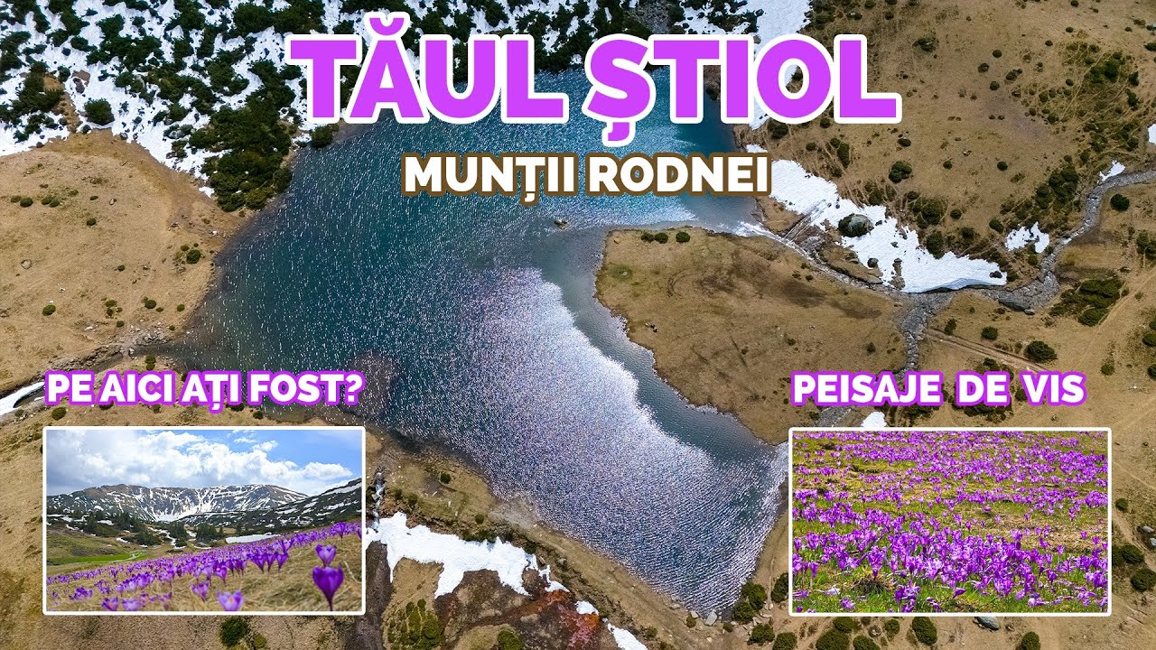Tăul Știol - Descoperă Acest Lac Glaciar 🌊 | Brândușe și Peisaje Wow în Munții Rodnei ⛰️