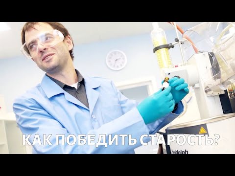 Как победить старость? Вопросы биологу