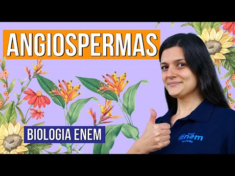 Vídeo: As angiospermas têm poliembrionia?