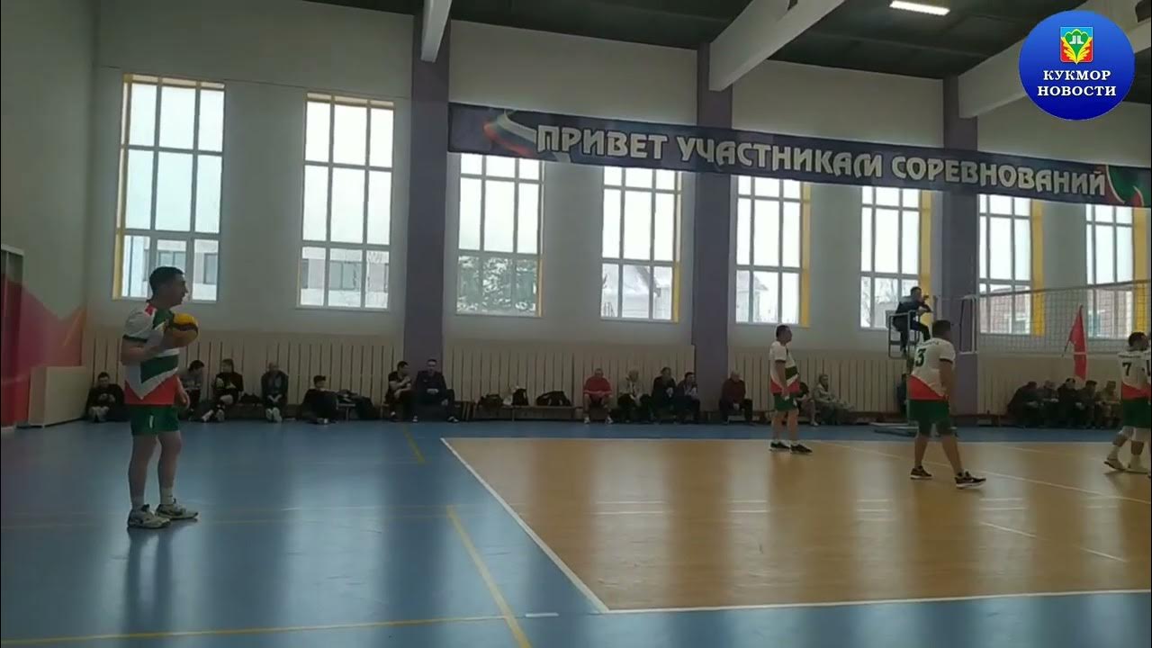 Зилант кукмор. Зилант кукмор