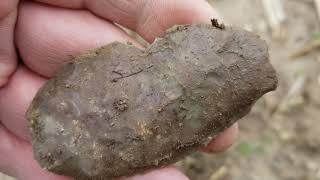 Once in a lifetime find killer Bannerstone preform
