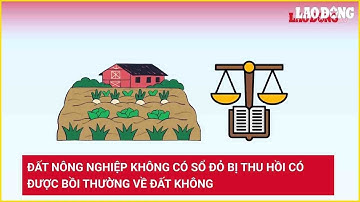 Đất nông nghiệp không có sổ đỏ bị thu hồi có được bồi thường về đất không | Báo Lao Động