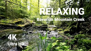 4K Relaxing Mountain Creek in the Woods of Bavaria, Nature Sounds only, no Loop/Filter, UHD HDR