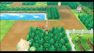 HUNTING FOR A SHINY VULPIX AND I FIND A SHINY CHANSEY INSTEAD.