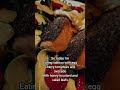 food 08-12-2025 #food #injury #demonslayer #healthy