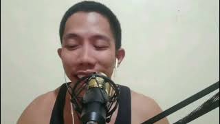 Dragostea Din Tei | O-Zone - Diomar Salvado Cover