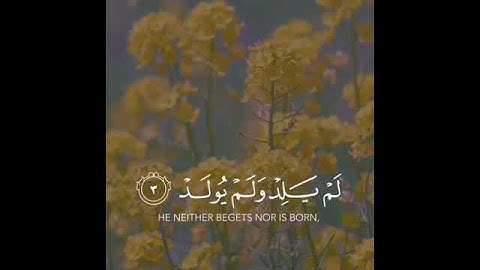 قال رسول الله صلى الله عليه وسلم: من قرأ سورة الإخلاص فقد قرأ ثلث القرآن #احاديث_نبويه #رسول_الله