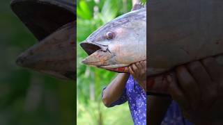 Big Tuna Fish cooking #shorts #ytshorts #cooking #food #asmr #trending #fish #youtubeshorts #viral