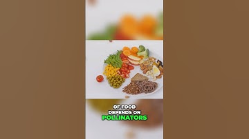 Protecting Pollinators: Our Food