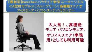 【最新型】Hara Chair ハラチェア 新型 ニーチェ シエル≪A型肘モデル≫（ブルーグリーン）高機能チェア オフィスチェア パソコンチェア ハラチェアー