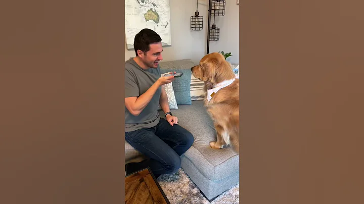 Dog translator app 🤯 Subscribe for part 2 #shorts #dog #comedy