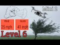 DJI Mini 2 High Wind Test/ Viewer Discretion Advised!!!!!!